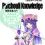 Gay Sex Yareru! Patchouli knowledge- Touhou project hentai Grandma